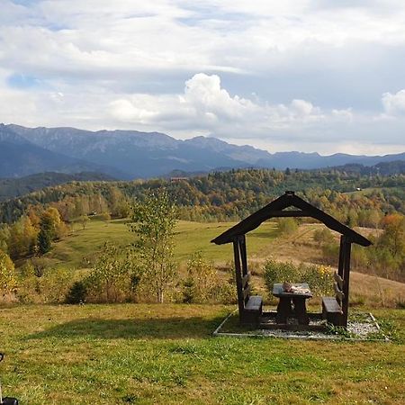 La Odai Бран Экстерьер фото
