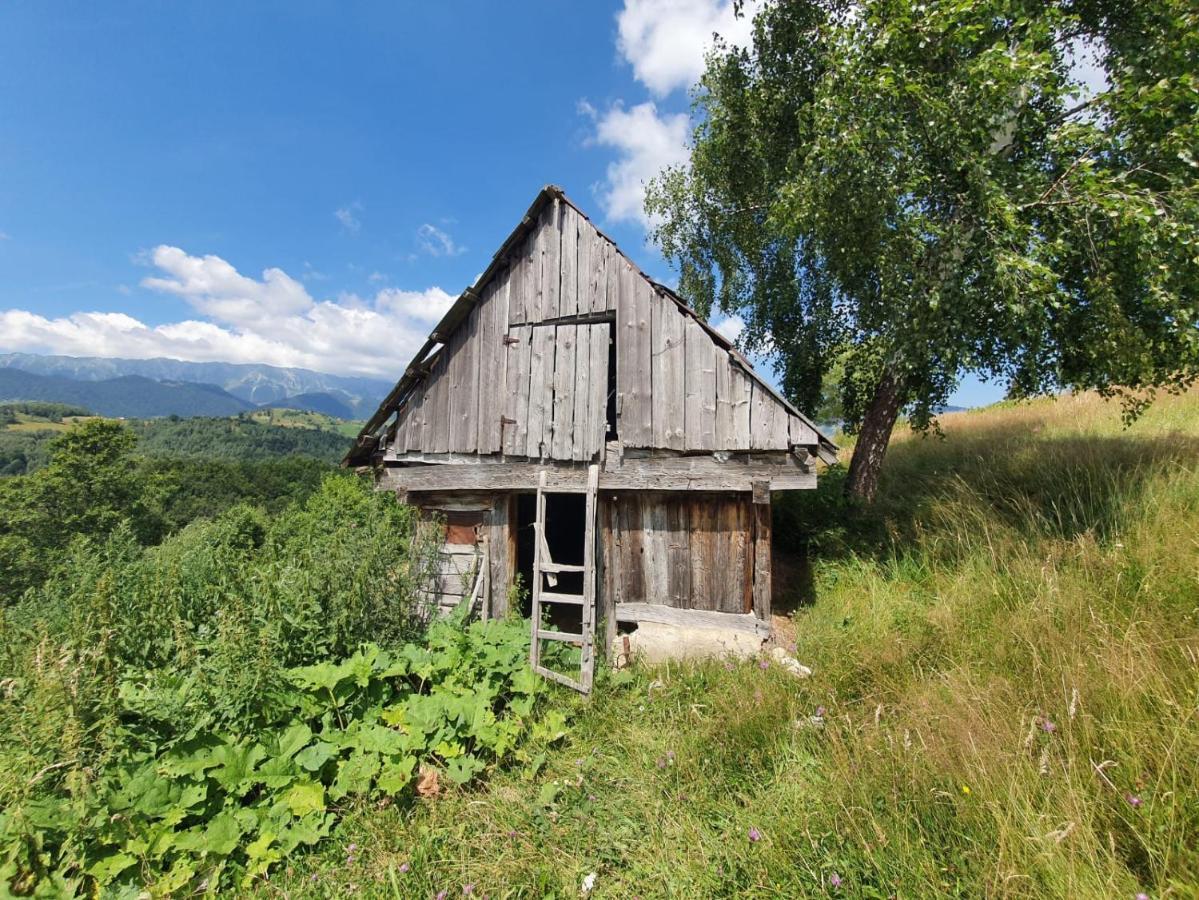 La Odai Бран Экстерьер фото