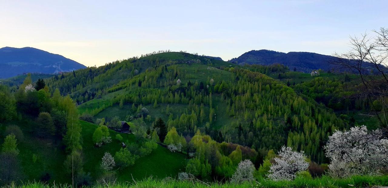 La Odai Бран Экстерьер фото