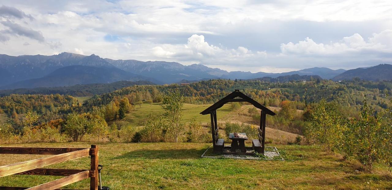 La Odai Бран Экстерьер фото
